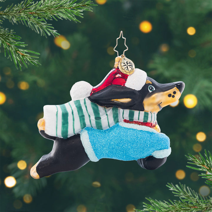 Santa Paws