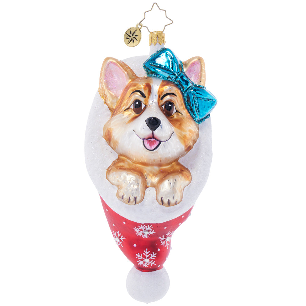 Front image - Cutie Corgi Claus - (Dog ornament)