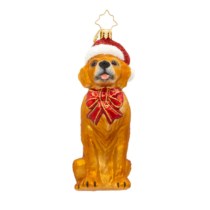 Front image - Golden Paws Pal - (Dog ornaments)