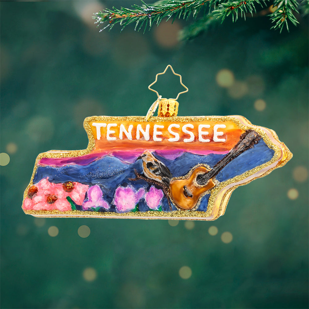 Front image - Tennessee Treasures - (Christmas ornaments)