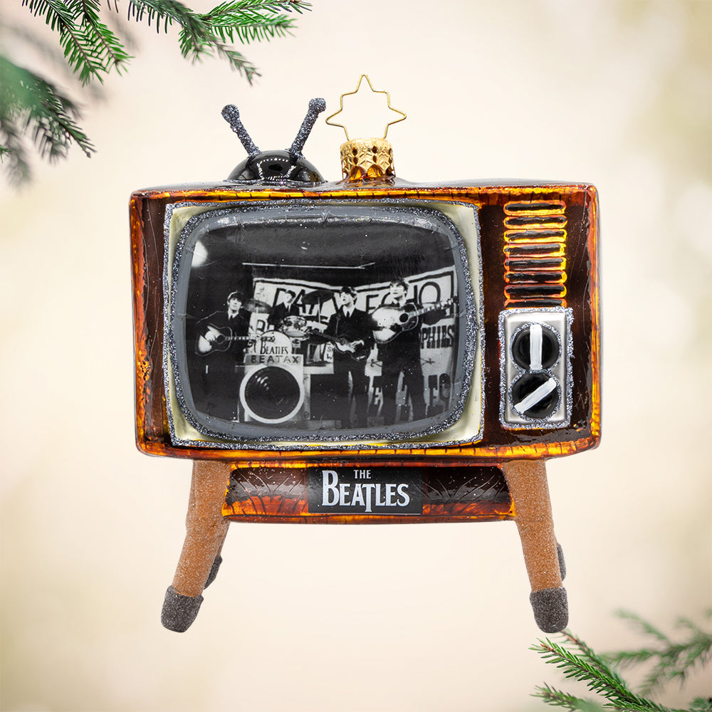 Beatles Television Tribute
