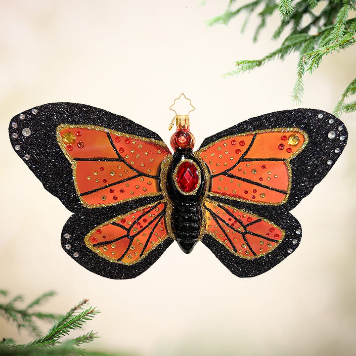 Monarch Magic