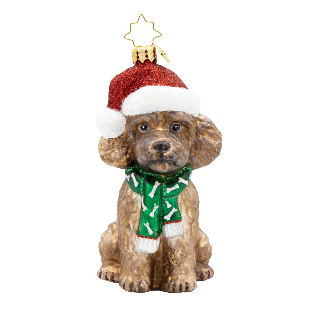 The Posh Poodle