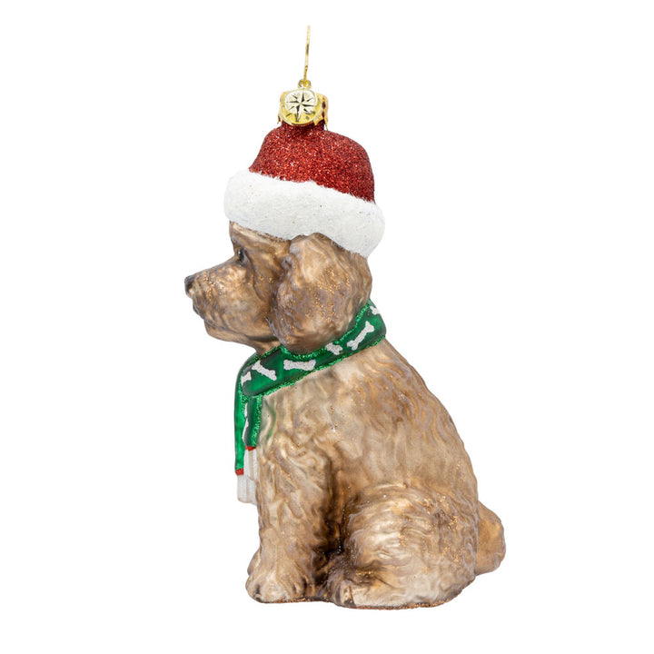The Posh Poodle