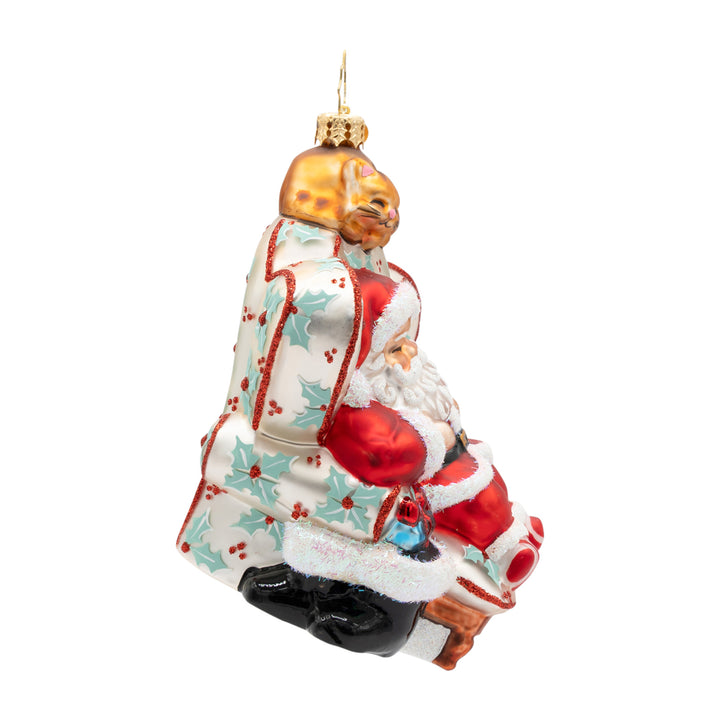Cat Nap Santa