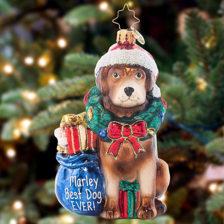 Noble Brown Lab Personalized