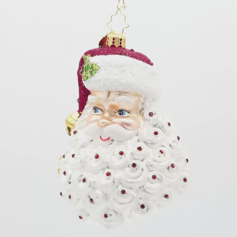 Birth Stone Santa January