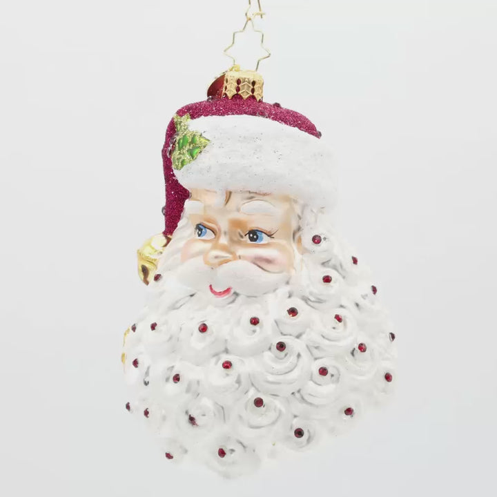 Birth Stone Santa January