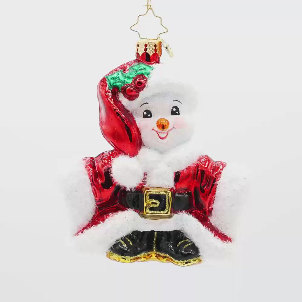 Santas Snowy Stand-In