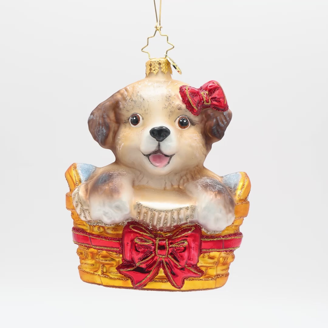 Basket of Hope