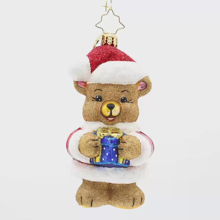 Bear-y Special Present