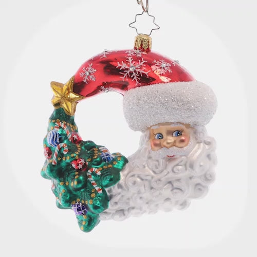 Christmas with a Grin Santa