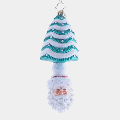 Video - Ornament Description - Under The Tree Santa: Topped with a snow-covered Tannenbaum, this classic Santa ornament is the most wonderful gift of all! His rosy cheeks and droll little smile embody the cheer of the holiday season. This video shows the ornament spinning slowly. 